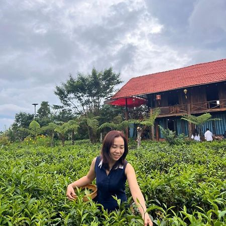 Tea Garden House Villa Bảo Lộc Eksteriør bilde