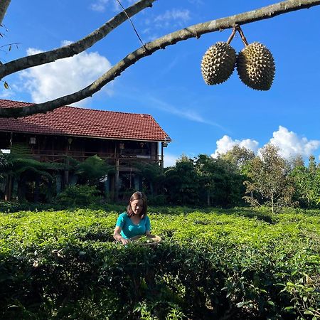 Tea Garden House Villa Bảo Lộc Eksteriør bilde