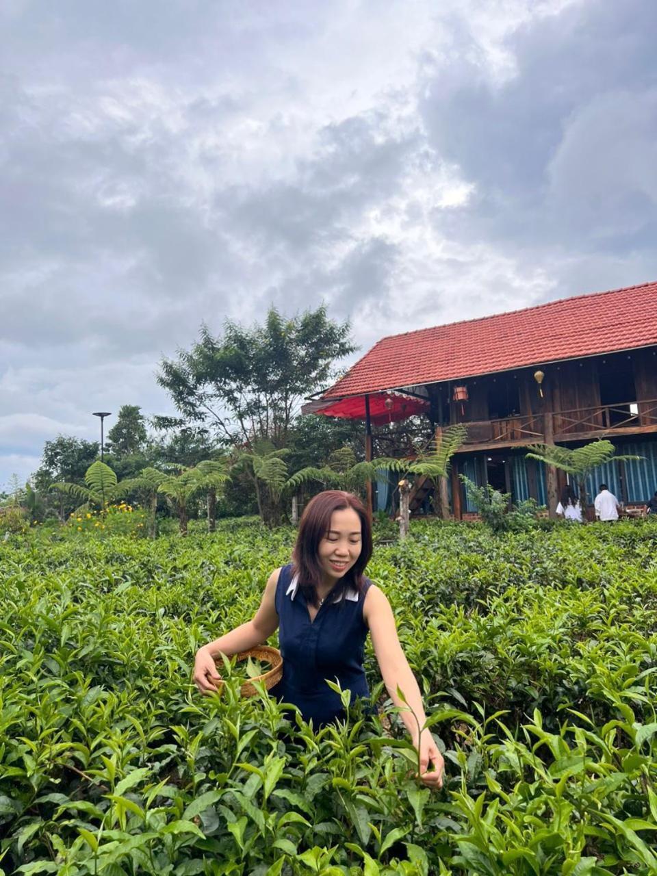 Tea Garden House Villa Bảo Lộc Eksteriør bilde