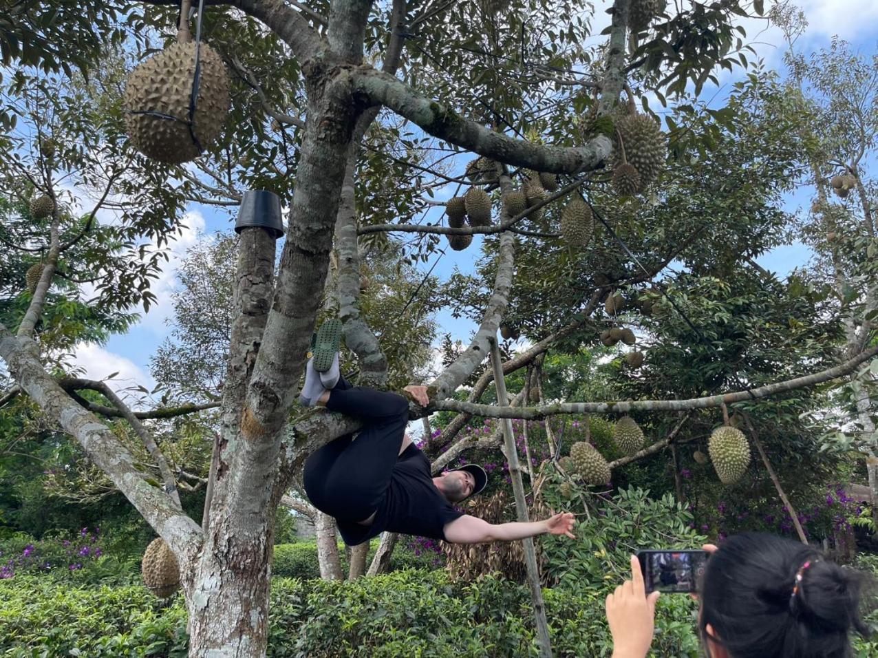 Tea Garden House Villa Bảo Lộc Eksteriør bilde