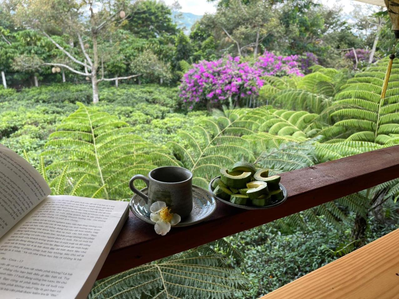 Tea Garden House Villa Bảo Lộc Eksteriør bilde