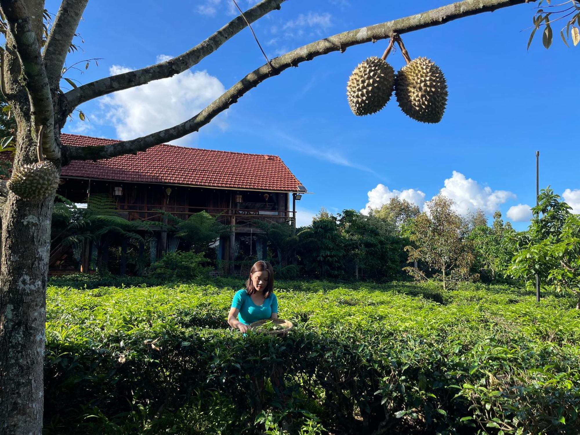 Tea Garden House Villa Bảo Lộc Eksteriør bilde