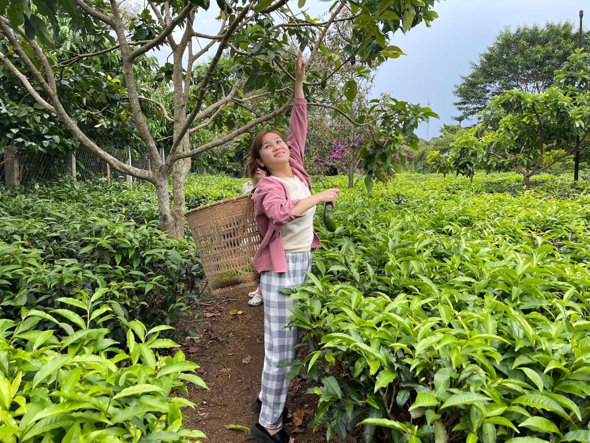 Tea Garden House Villa Bảo Lộc Eksteriør bilde
