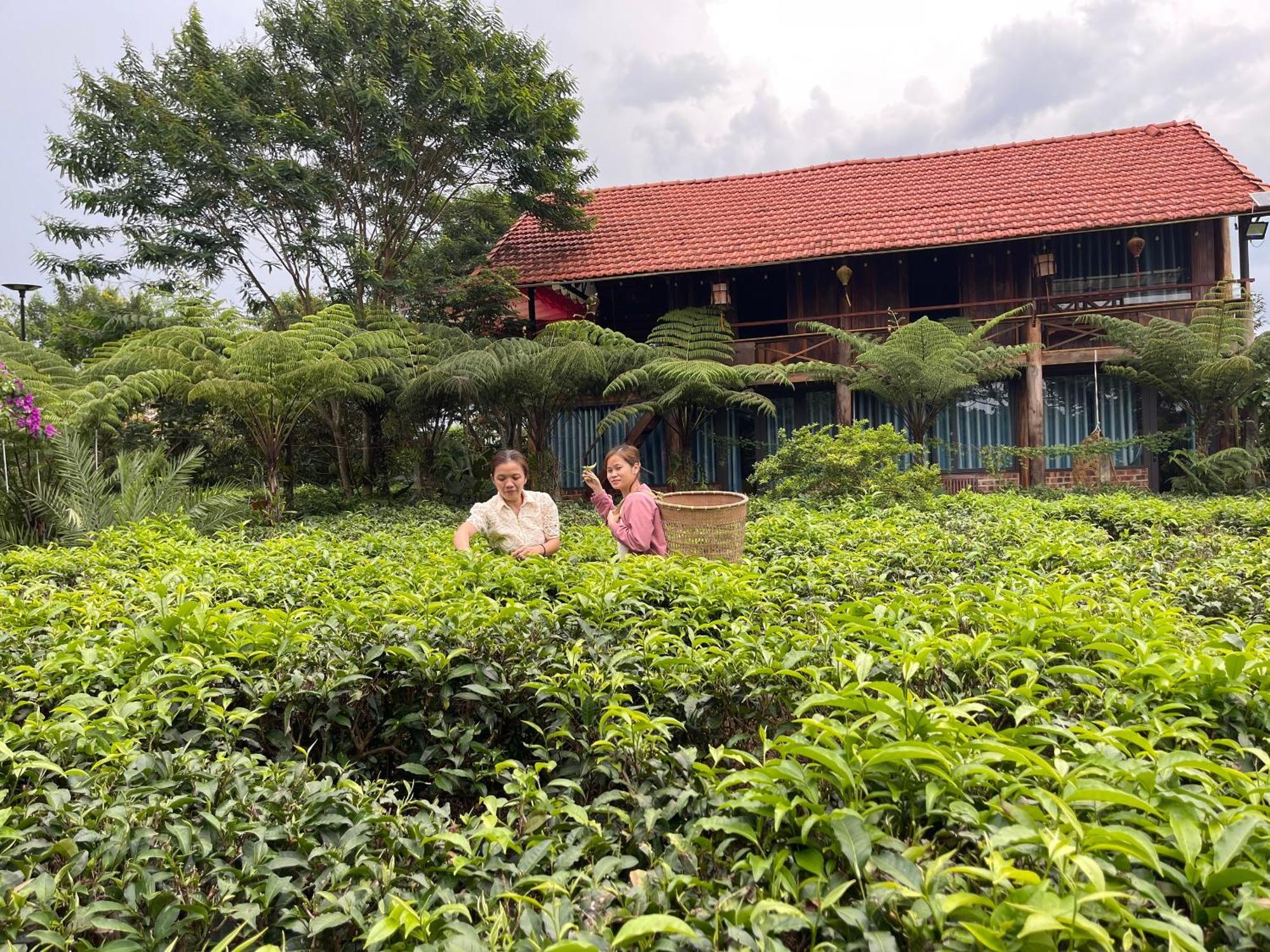 Tea Garden House Villa Bảo Lộc Eksteriør bilde